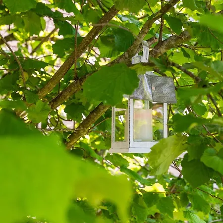 Casa Vito In Zuzici - Haus Fuer 4 Personen Visnjan